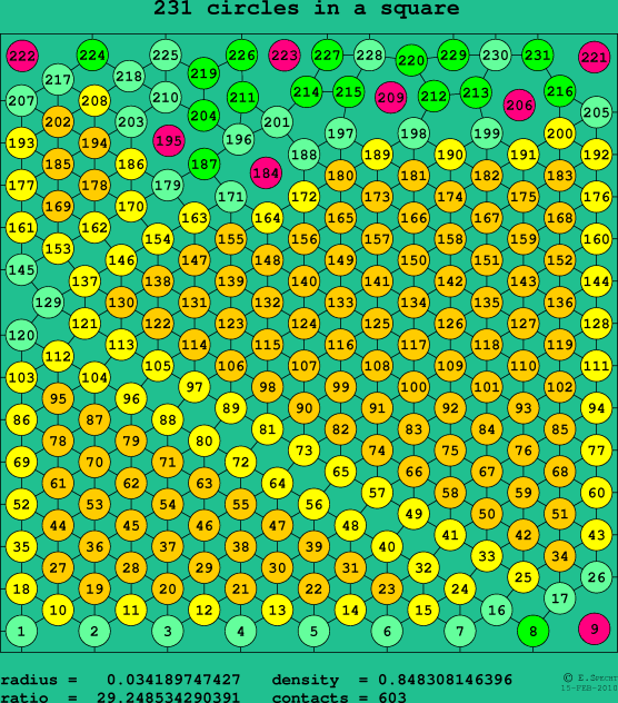 231 circles in a square
