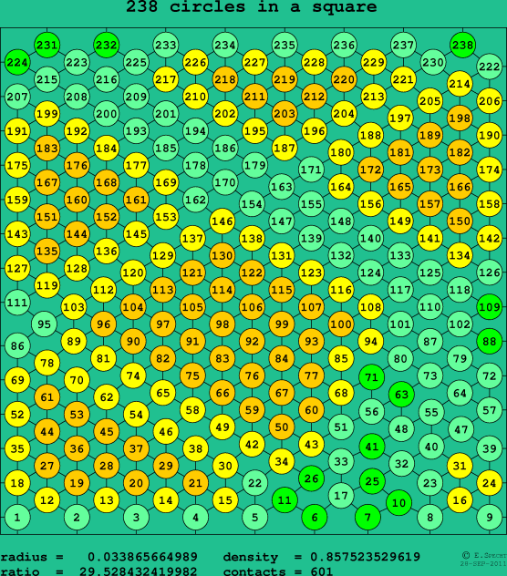 238 circles in a square