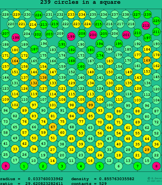 239 circles in a square