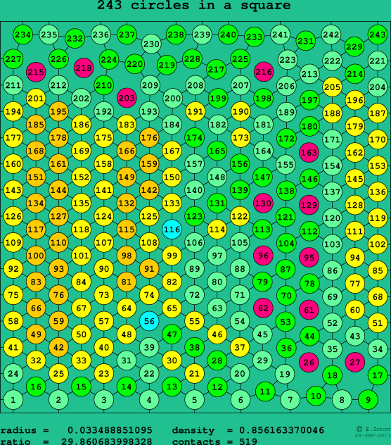 243 circles in a square