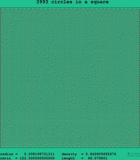3993 circles in a square
