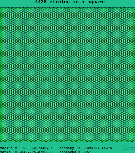 4428 circles in a square