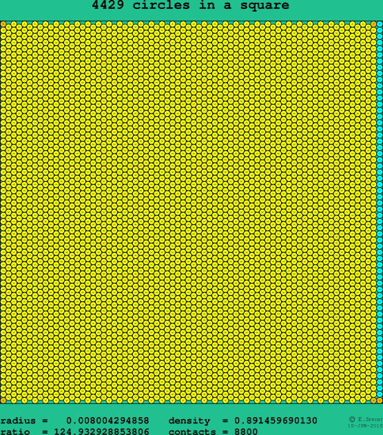 4429 circles in a square