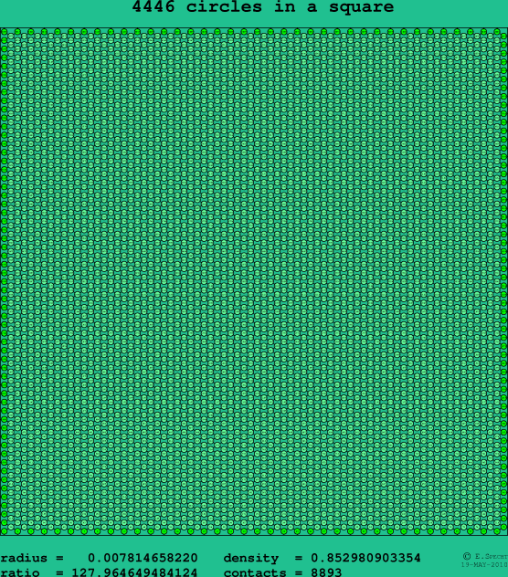 4446 circles in a square