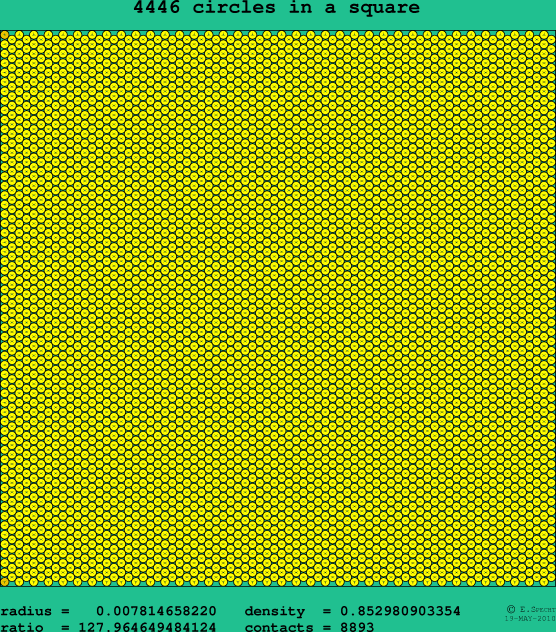 4446 circles in a square