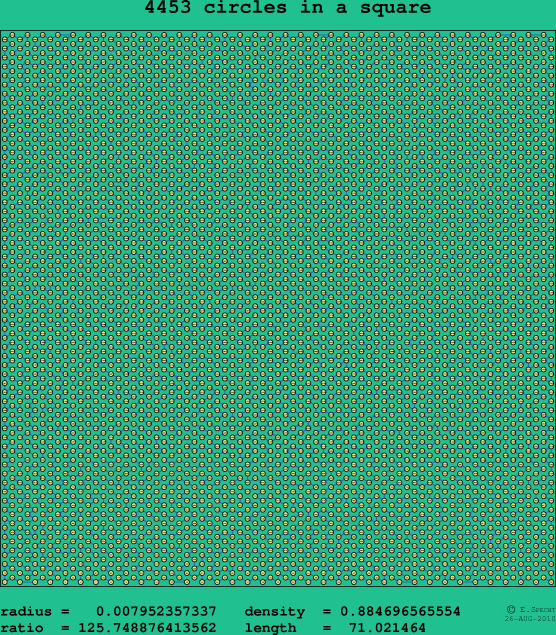 4453 circles in a square
