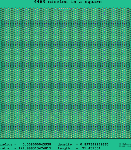 4463 circles in a square