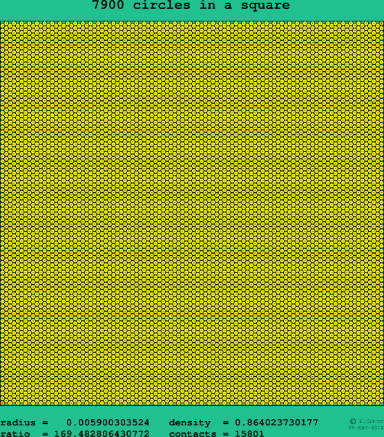 7900 circles in a square