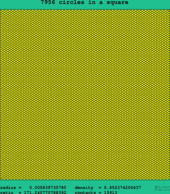 7956 circles in a square