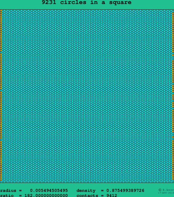 9231 circles in a square