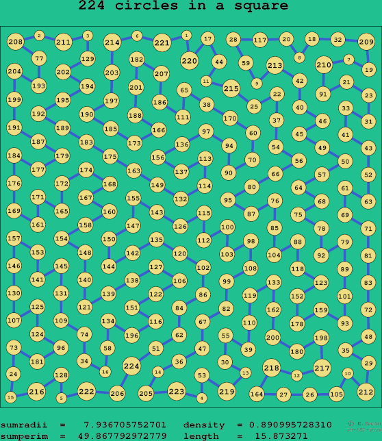 224 circles in a square