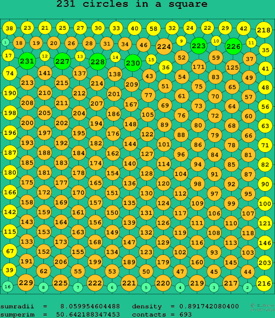 231 circles in a square