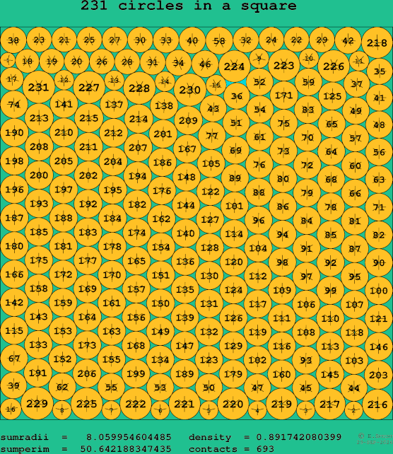 231 circles in a square