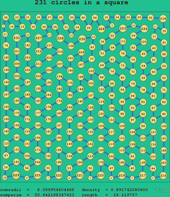231 circles in a square
