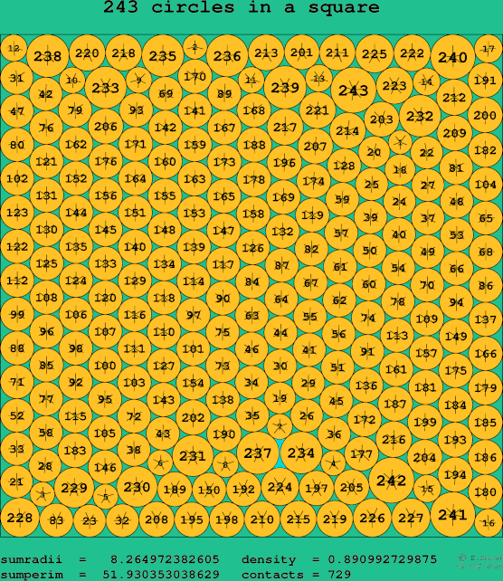 243 circles in a square