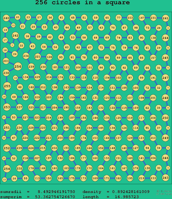 256 circles in a square
