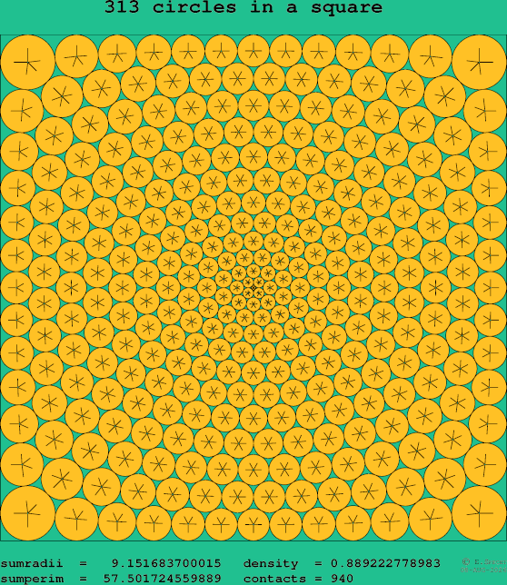 313 circles in a square