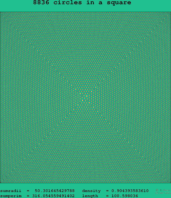 8836 circles in a square