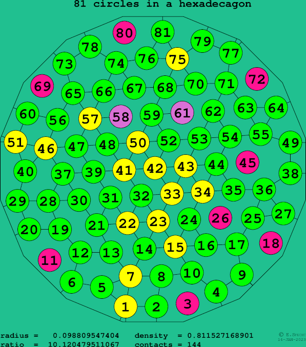 81 circles in a regular hexadecagon