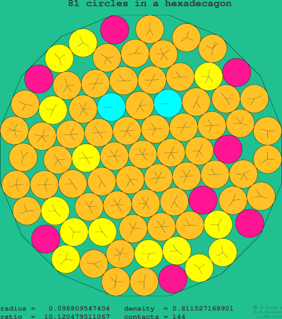 81 circles in a regular hexadecagon